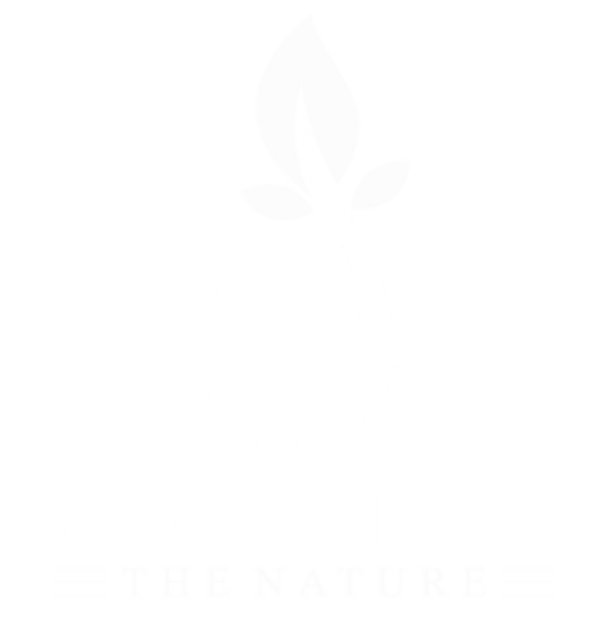 Aranya - Footer Logo